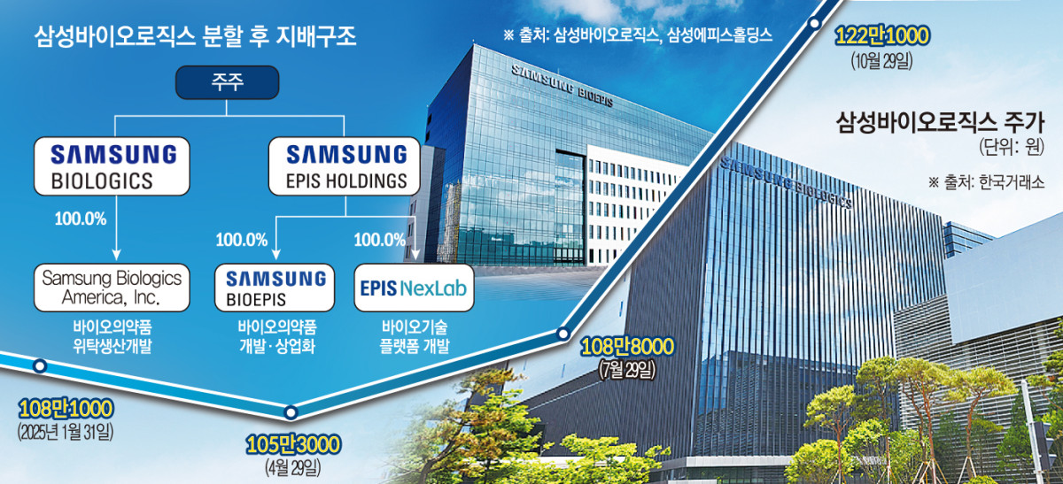 (그래픽=손미경 기자 sssmk@)