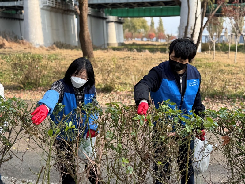 (코레일네트웍스 제공)