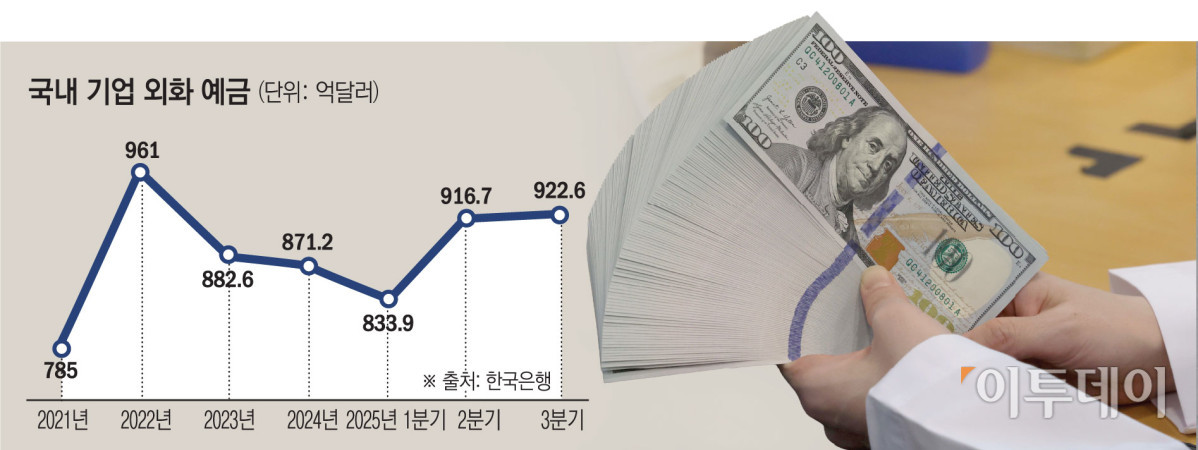 ▲국내 기업 외화 예금 (그래픽)
