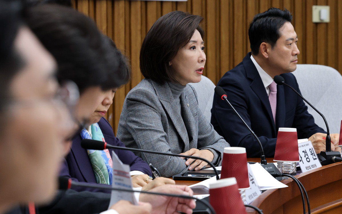 ▲국민의힘 나경원 의원이 24일 국회에서 열린 대장동 범죄수익환수 특별법 제정을 위한 긴급 토론회에서 발언하고 있다. 2025.11.24 (연합뉴스)