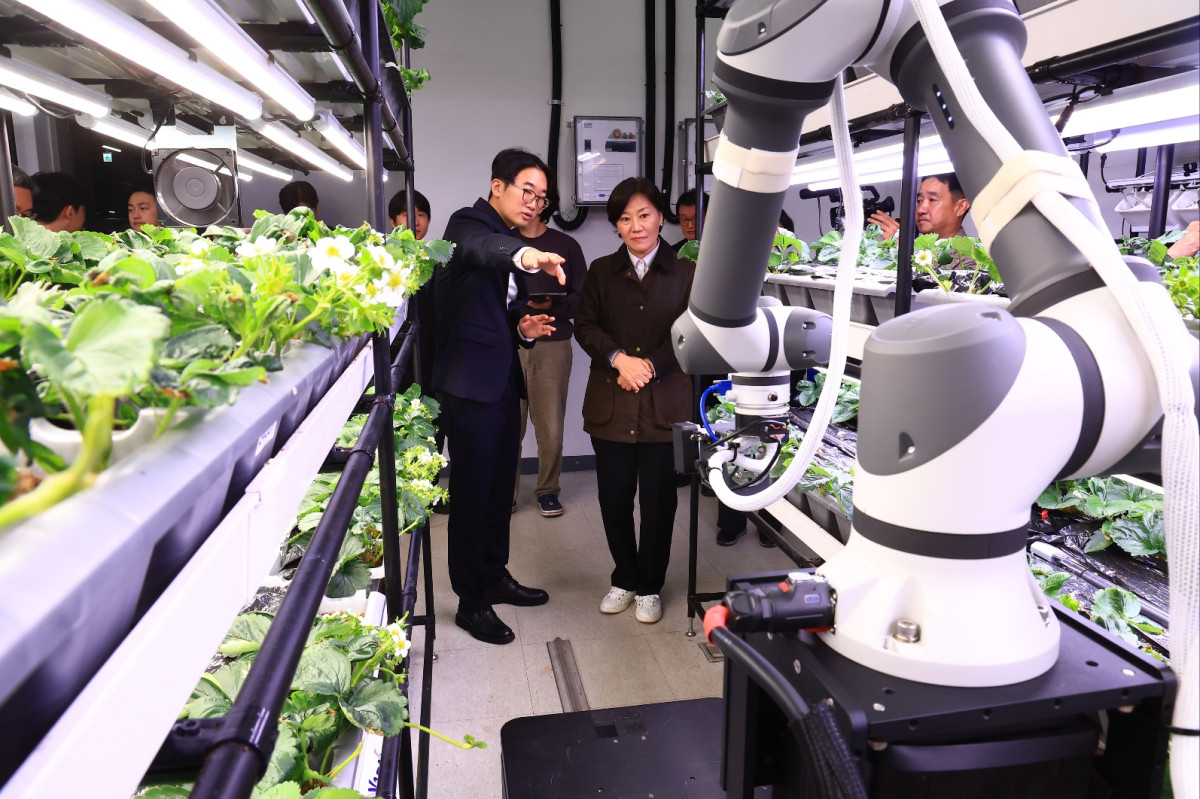▲송미령 농림축산식품부장관이 25일 경기도 화성시에 있는 농업 자동화기술 기업 ‘메타파머스’를 찾아 인공지능(AI)·로봇 기반 농작업 자동화 기술에 대해 설명을 듣고 있다. (사진제공=농림축산식품부)