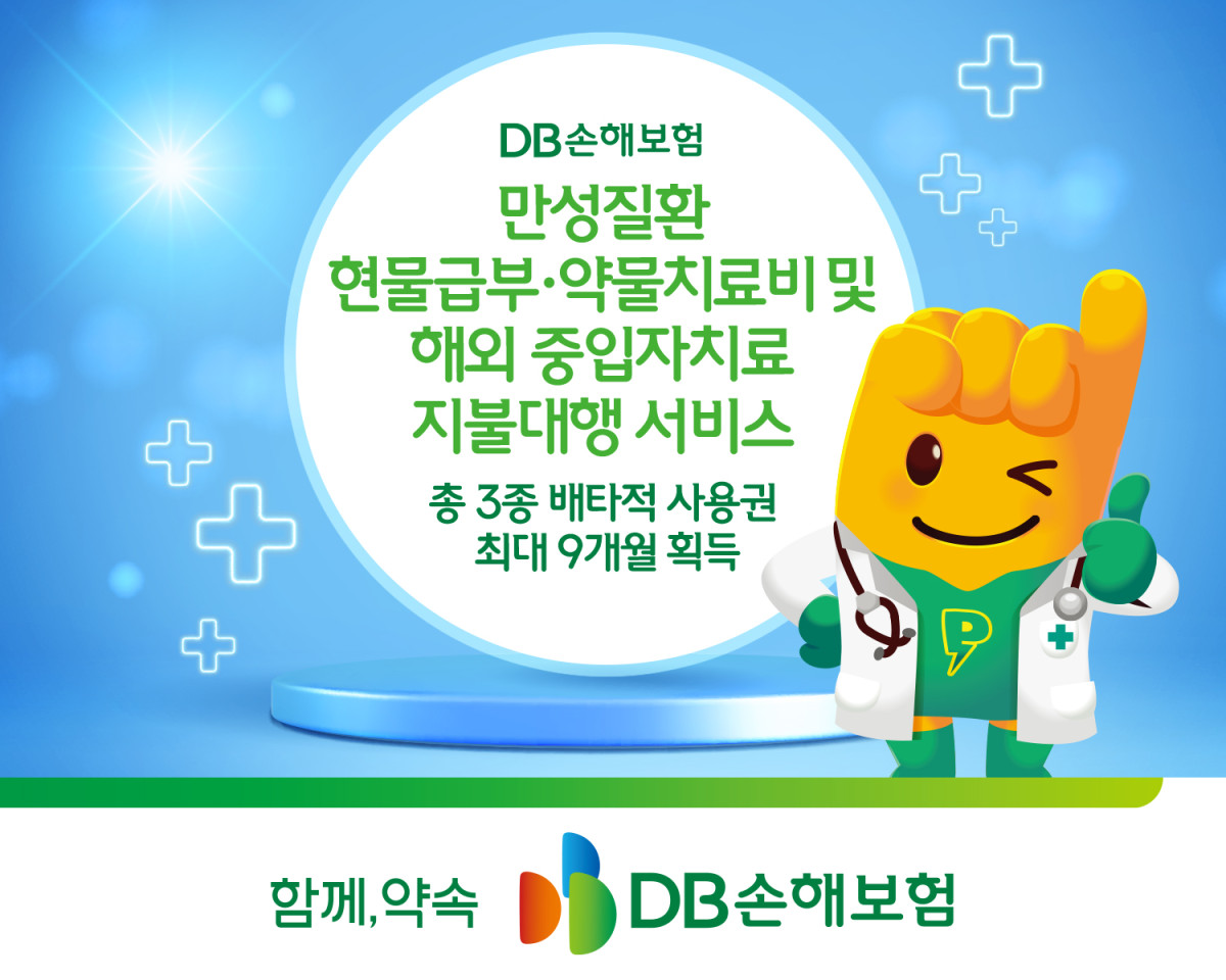 (제공 DB손해보험)