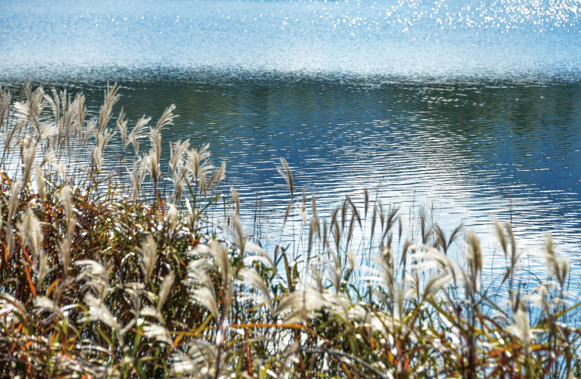 (이현숙 여행작가)