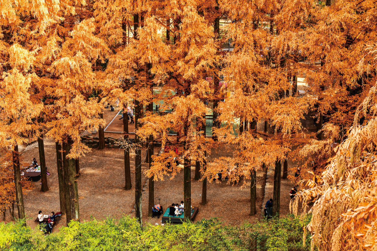 (이현숙 여행작가)