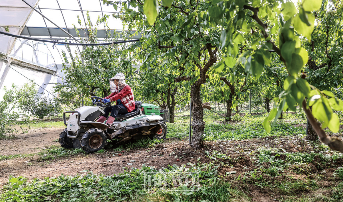 (주민욱 프리랜서)