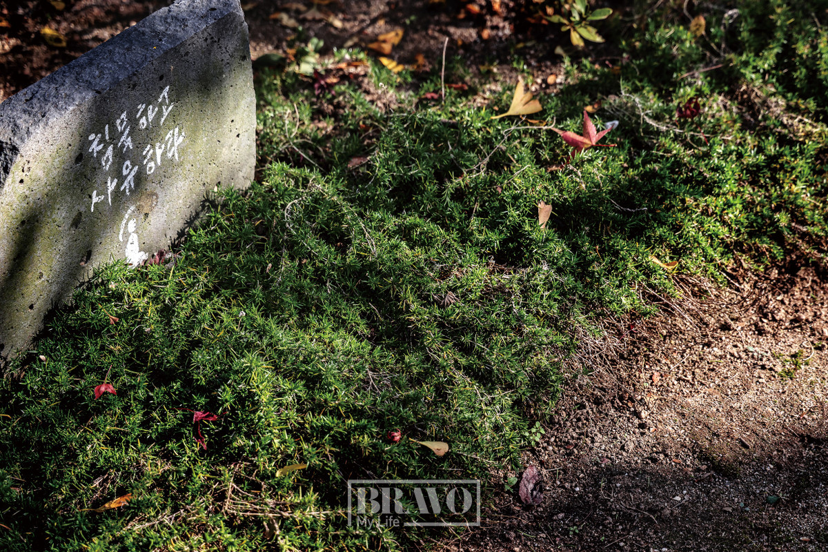 (주민욱 프리랜서)