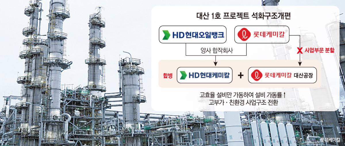 ▲손미경 기자 (그래픽)