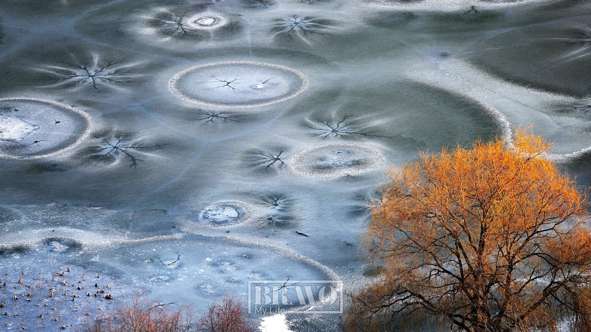 (최경인 사진작가)