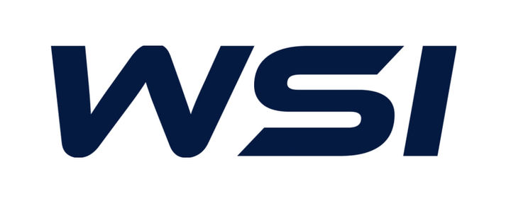 ▲더블유에스아이 CI.  (출처=더블유에스아이)