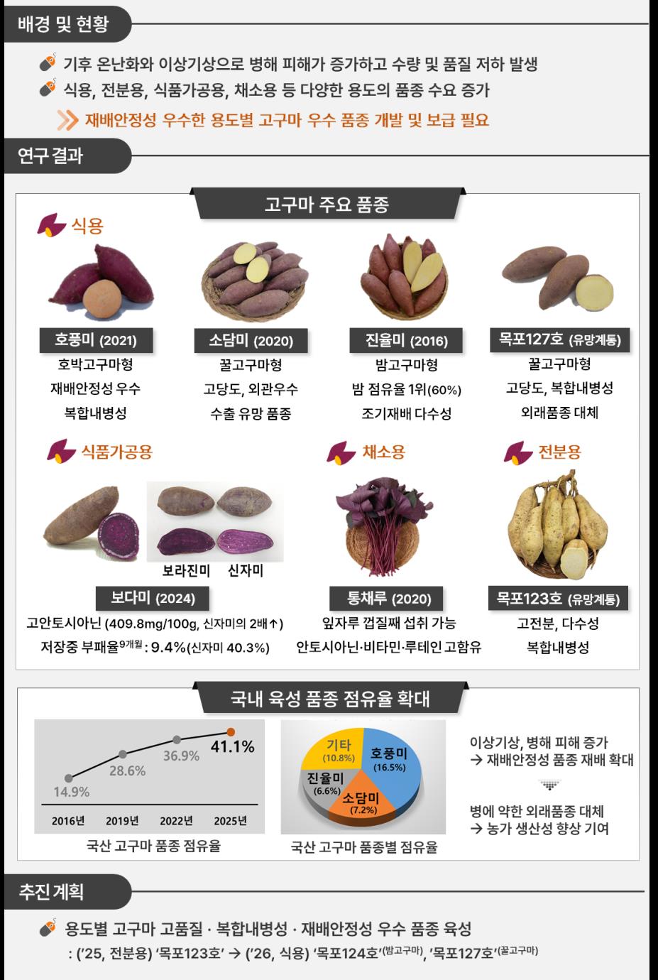 ▲고구마 주요 품종 (농촌진흥청)