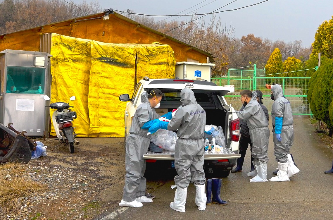 ▲충남 당진시 송산면 돼지농장에서 도내 처음으로 아프리카돼지열병(ASF)이 발생한 가운데 방역 당국 관계자들이 25일 농장 주변 방역을 준비하고 있다. (연합뉴스)