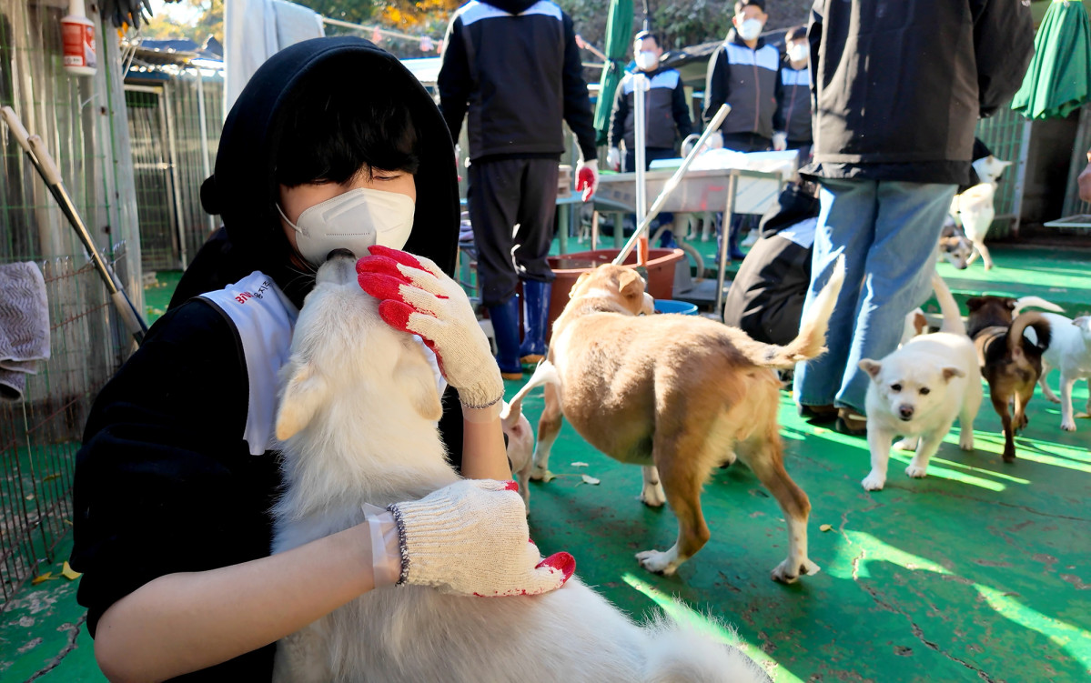 ▲지역 e스포츠구단 ‘BNK FEARX’ 리그 오브 레전드(LoL) 주전 선수와 BNK금융그룹 임직원이 24일 부산 기장군 철마면에 위치한 유기견보호센터에서 봉사활동을 진행하고 있다. (사진제공=BNK금융)