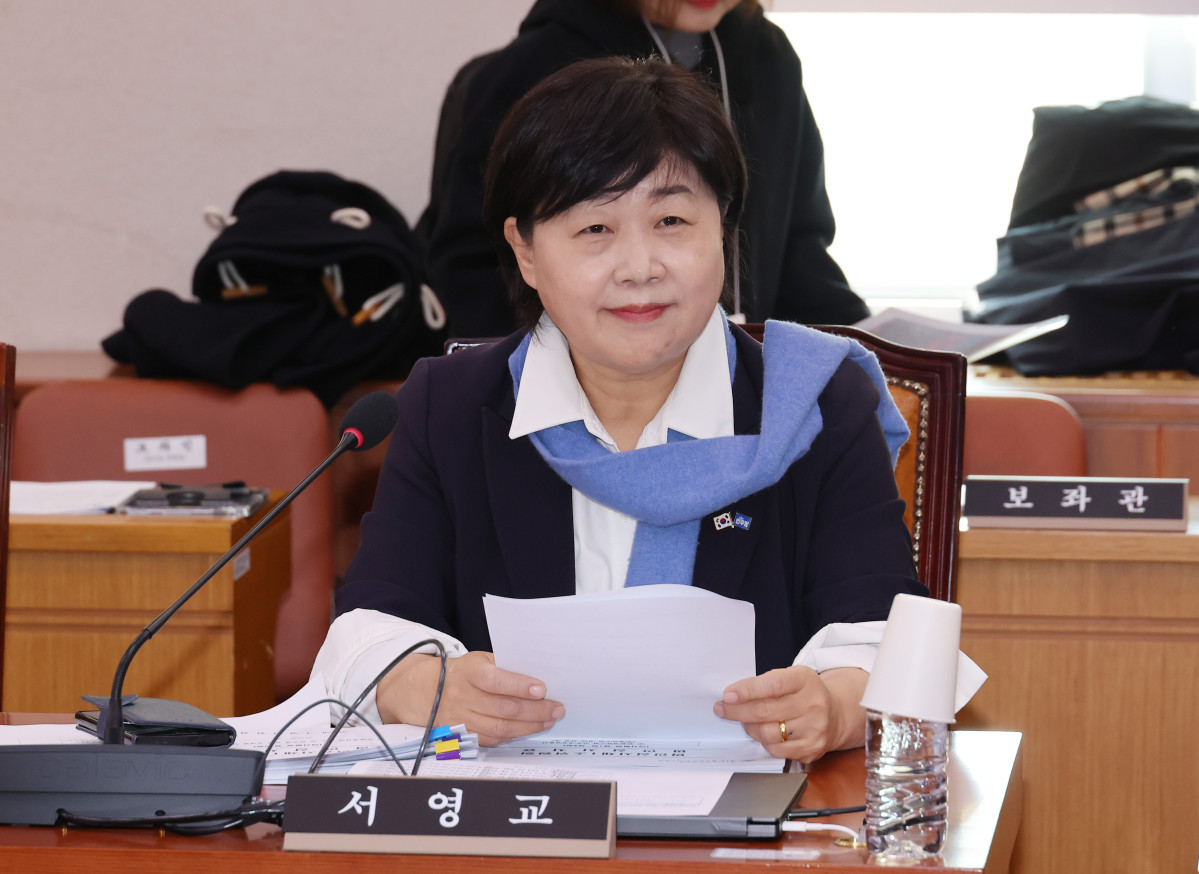 ▲서영교 더불어민주당 의원 (연합뉴스)
