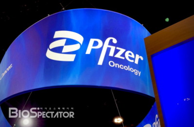 화이자, TOP1 '메소텔린 ADC' 중단..초기 항암제 2건도