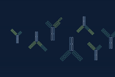 서드아크, 中아다진과 ‘마스킹 TCE’ 8.45억弗 딜