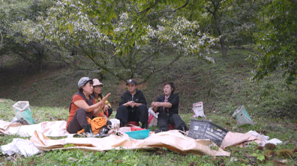 ▲'박원숙의 같이 삽시다' (사진제공=KBS 2TV)