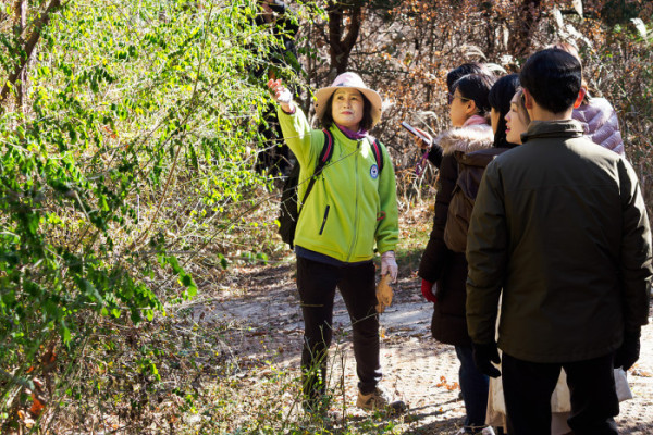 ▲오크밸리 숲 치유 프로그램에서 참가자들이 해설사의 안내를 따라 산책로를 걸으며 치유식 숲 해설을 듣고 있다. 가을빛이 내려앉은 숲길에서 참가자들은 자연 속 웰니스 활동을 체험했다.(이준호 기자)