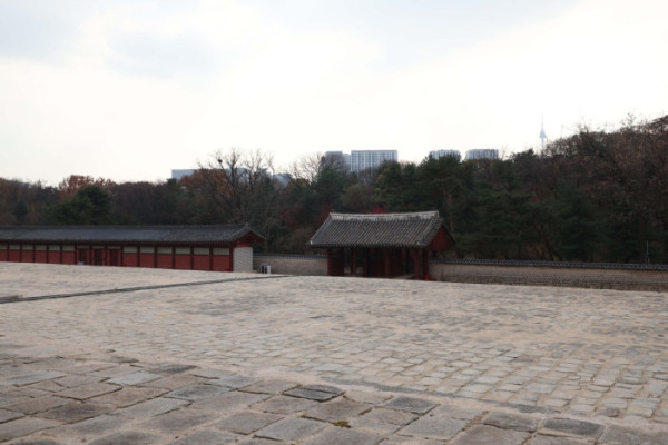 ▲유네스코 세계유산인 종묘 인근 세운4구역 재개발 사업과 관련해 국가유산청과 서울시의 갈등이 심화되고 있다. 사진은 20일 서울 종묘 정전 상월대에서 바라본 세운4구역 재개발 사업지 방향. 신태현 기자 holjjak@