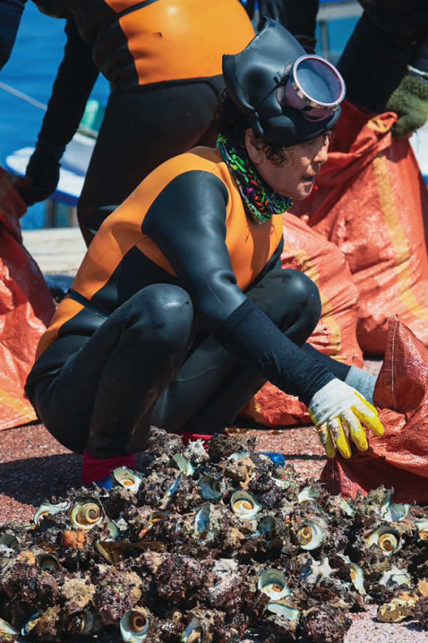 ▲로컬의 생산자가 고령화로 사라지고 있다. 사진은 제주 해녀의 모습. (아워플래닛)