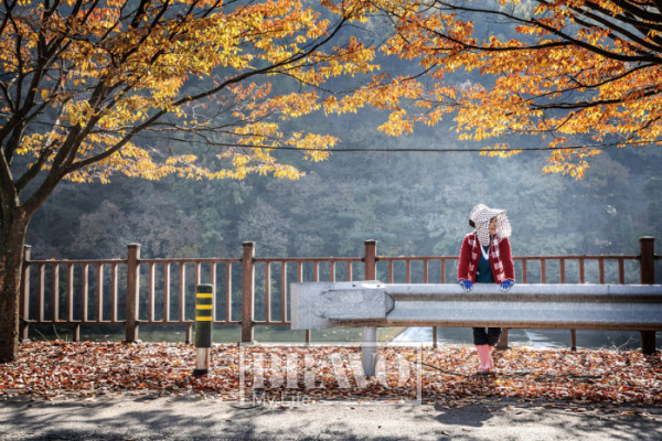 (주민욱 프리랜서)