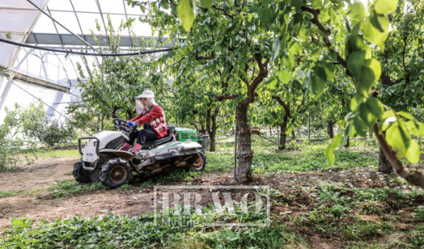 (주민욱 프리랜서)