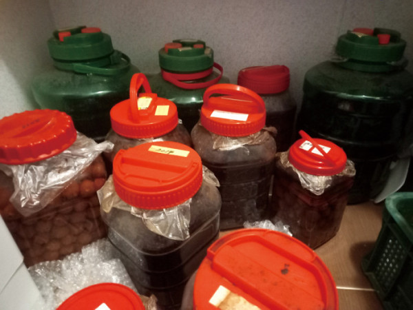 (함인희 이화여자대학교 사회학과 명예교수)