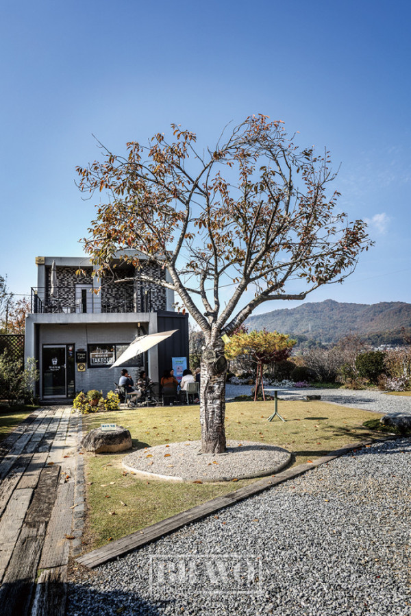 (주민욱 프리랜서)