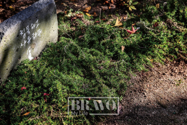 (주민욱 프리랜서)