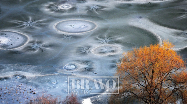 (최경인 사진작가)