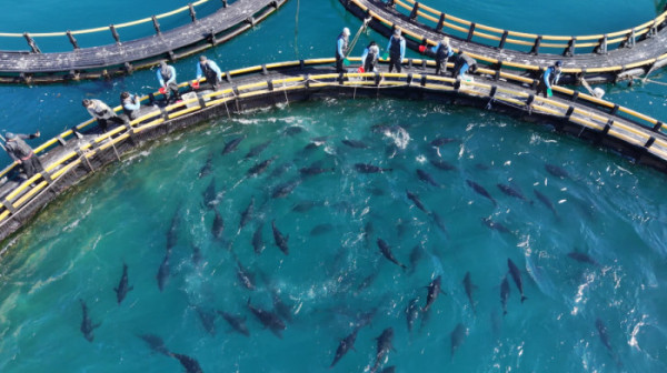 ▲런닝맨(사진제공=SBS)