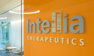 인텔리아, ‘인비보 CRISPR’ 간독성 발생후 “환자 사망”