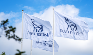 노보노 &quot;로또 기대&quot;, 'GLP-1' 알츠하이머병 3상 &quot;실패&quot;