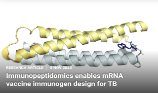 MIT 연구팀, ‘결핵백신’ 100년만에 “新타깃 발견”