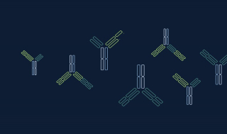 서드아크, 中아다진과 ‘마스킹 TCE’ 8.45억弗 딜