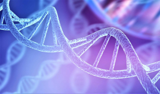 아티오스, 시리즈D 1.15억弗..‘DDR 합성치사’ 임상