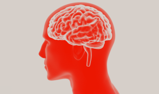 J&amp;J, '타우 항체' 알츠하이머병 2상 &quot;실패..중단키로&quot;