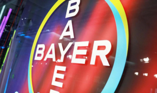 바이엘, ‘FXIa 저해제’ 뇌졸중 예방 “첫 3상 성공”