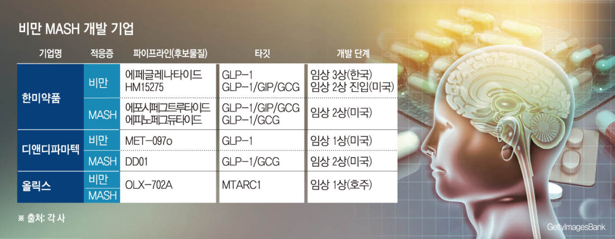 (그래픽=손미경 기자 sssmk@)