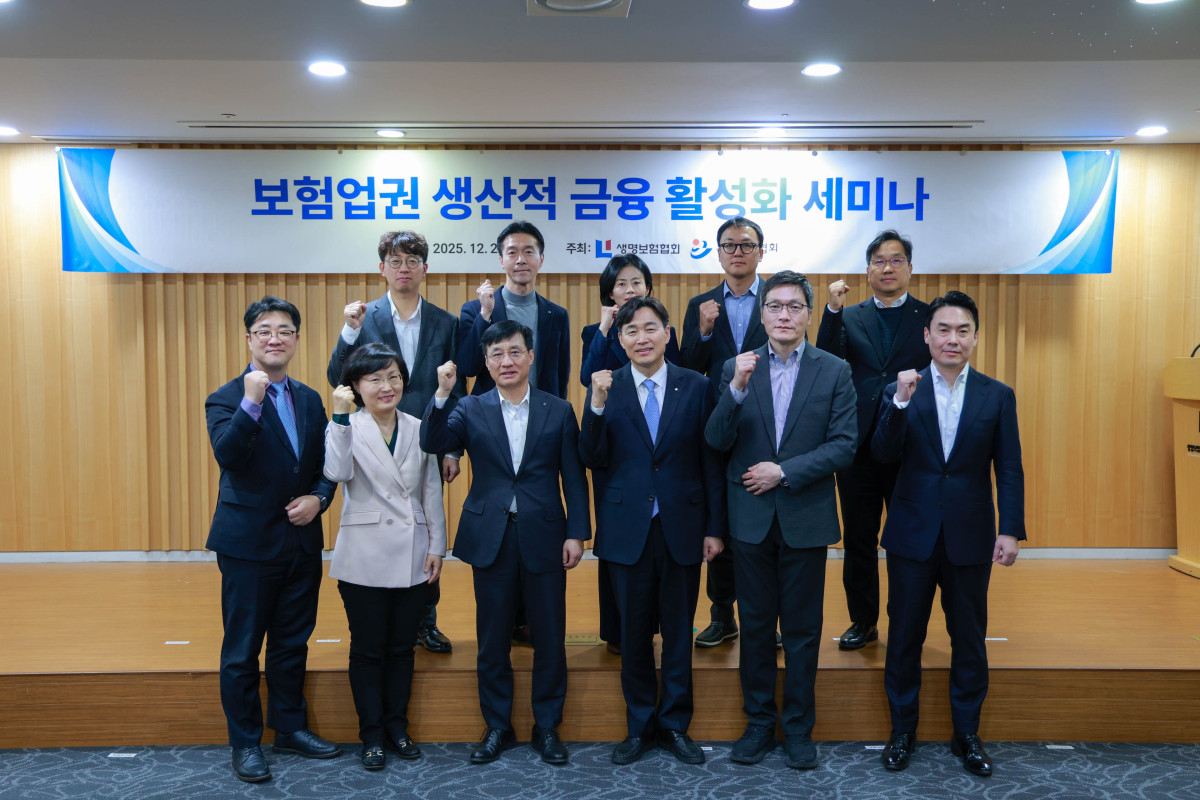 ▲‘보험업권 생산적 금융 활성화 세미나’ 참석자들이 기념촬영을 하고 있다. (윗줄 왼쪽부터) EY 이홍용 상무, 신한라이프 정지영 상무, 삼성화재 송하영 상무, 동국대 윤선중 교수, 손보협회 김지훈 상무(아랫줄 왼쪽부터) 보험연구원 노건엽 실장, 상명대 이경희 교수, 생보협회 김철주 회장, 손보협회 이병래 회장, 금융위 보험과 이동엽 과장, 삼정KPMG 이재석 상무 (제공 생명보험협회)