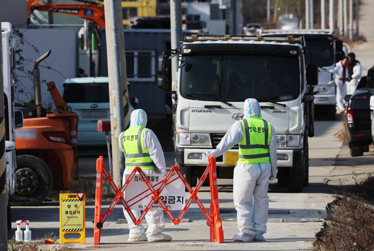 ▲H5형 조류인플루엔자 항원이 확인된 경기도 평택시 한 산란계 농장이 2일 출입 통제되고 있다. (연합뉴스)