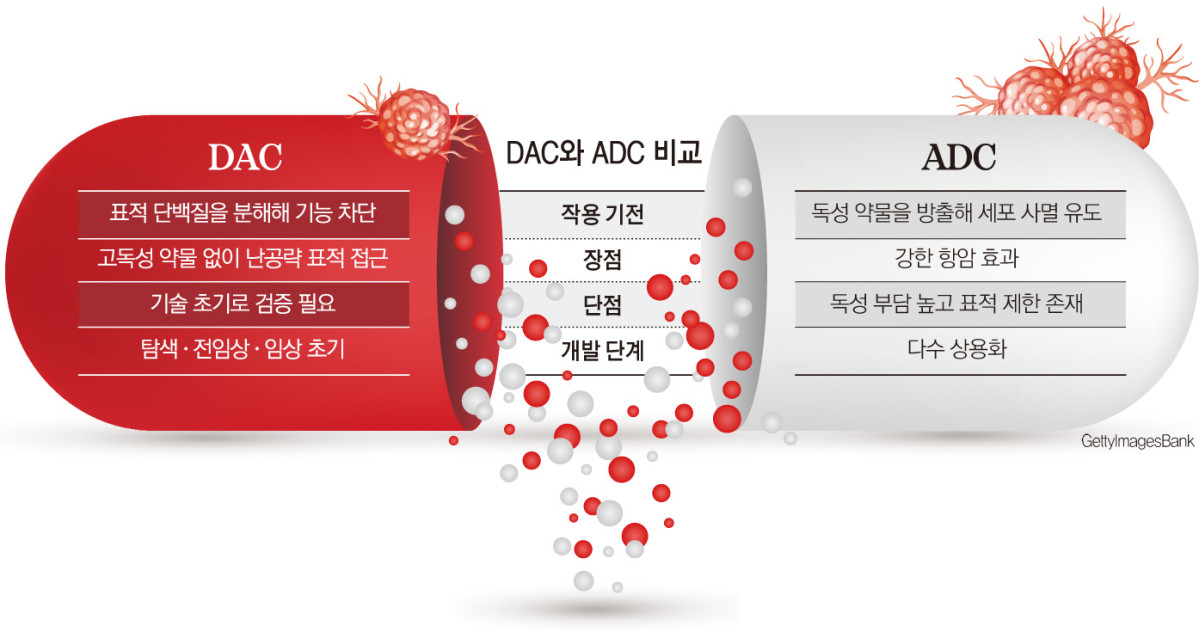 (그래픽=손미경 기자 sssmk@)