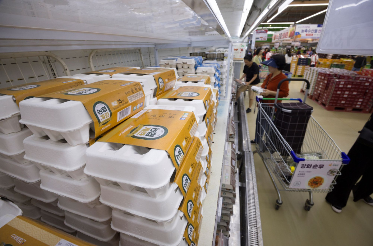 ▲서울 시내의 한 대형마트에 계란 제품이 진열돼 있다.  (뉴시스)