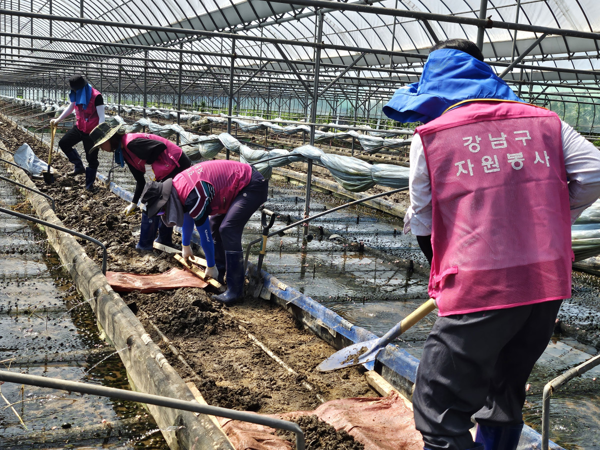 ▲(사진1) 재난 피해 현장에서 복구 활동을 하는 강남구자원봉사자 (강남구청)