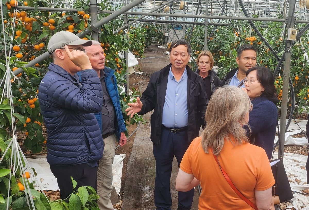 ▲대한민국 최고 농업기술명인 강만희씨(가운데). 제주도 농업기술원 . (사진제공=서귀포시)