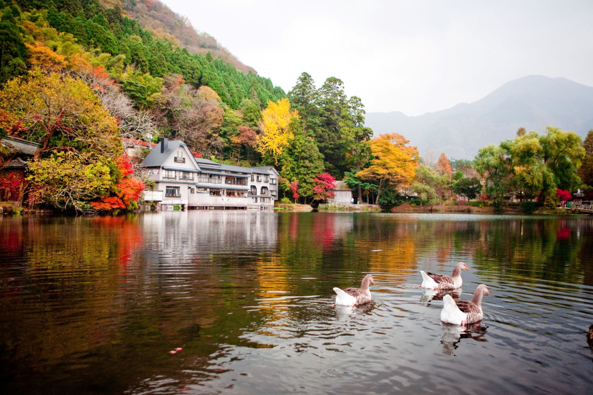 ▲규슈 유후인 긴린 호수(하나투어)