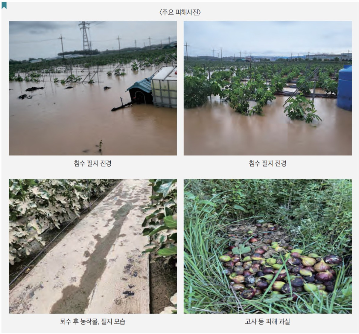▲집중호우 주요 피해사진 (자료출처='2024년 이상기후보고서'(농업재해 현황 및 재해대책))