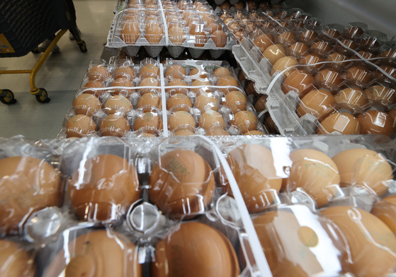 ▲ 서울 한 대형마트에 진열된 계란 한판 제품들 (연합뉴스)