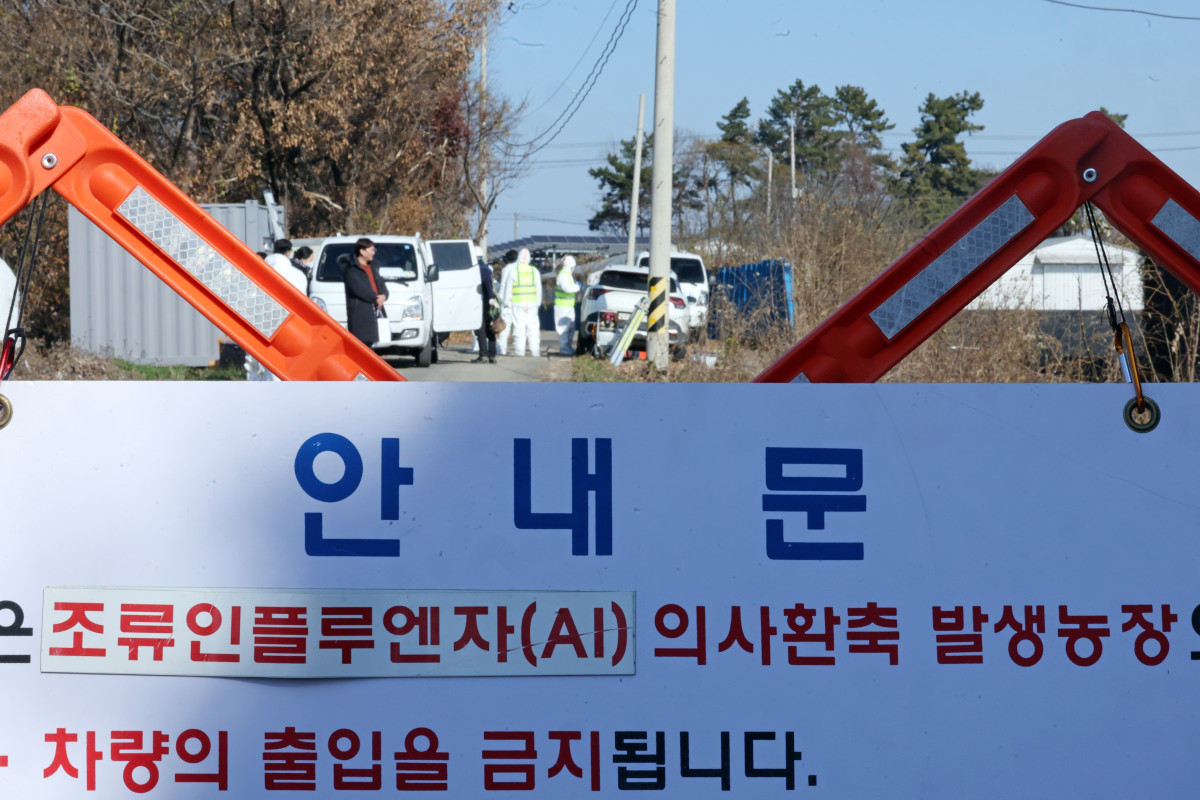 ▲조류인플루엔자 발생 (연합뉴스)