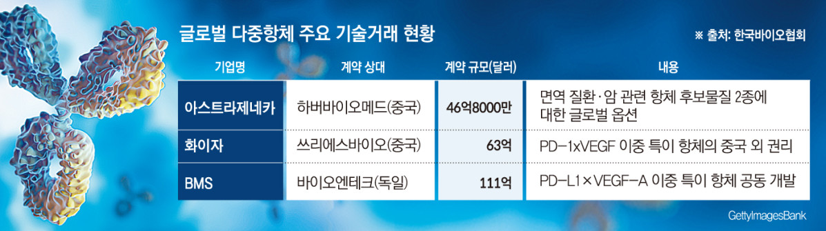 (그래픽=손미경 기자 sssmk@)