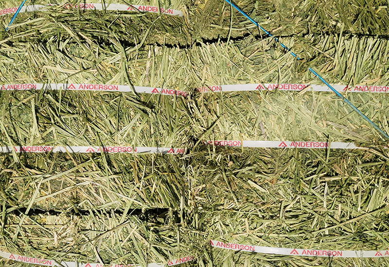 ▲STX가 트롤리고를 통해 국내에 유통하는 조사료. (사진= STX)